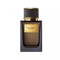 DOLCE&GABBANA Velvet Collection Incenso 100
